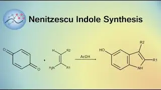 Nenitzescu Indole Synthesis Mechanism | Organic Chemistry