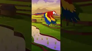 Bird Flying 