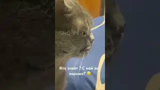 Может в больницу её? 😬