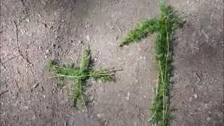 Google Plus one Photos