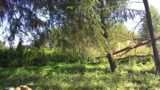 Разбивка лагеря. Холмец.