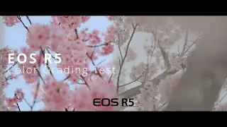 EOS R5 Color Grading Test 【12bit RAW / 10bit H.265 】