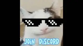 Beluga join discord sound effect