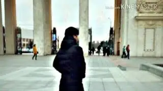 Это песни ишут все