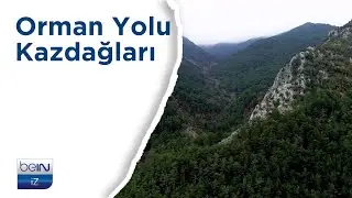 beIN İZ Belgesel | Orman Yolu: Kazdağları