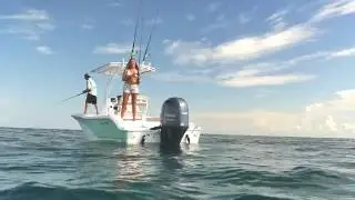 15sec Sea Fox 206 Commander aft fishing