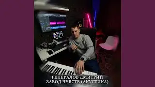 Завод чувств (Акустика)