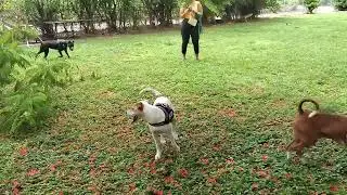 Having fun with all his buddies