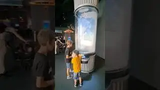 Что посмотреть в Калифорнии! Калифорнийский Научный Центр! 