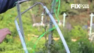 Сетка для опоры вьющихся растений