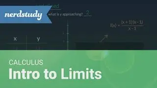 Intro to Limits | Calculus - Nerdstudy