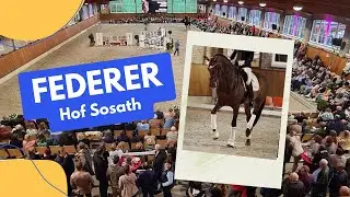 Dressurhengst FEDERER - Farrell x Livaldon x Canstakko - Hof Sosath