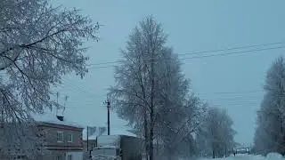 Иней на деревьях 29 декабря 2021 п. Никологоры
