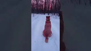 Встречаем новый день