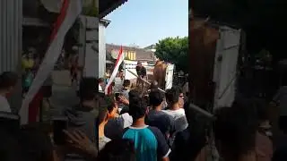 Sapi untuk kurban ukuran jumbo turun dari truk