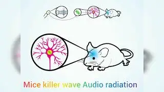 Anti Mice repellent waves - rat killer audio waves radiation in 1 minute 2 times