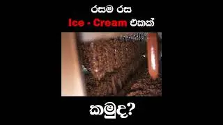 රස වෙලා හැඩ වෙලා එලියට එන අයිස්ක්‍රීම්..