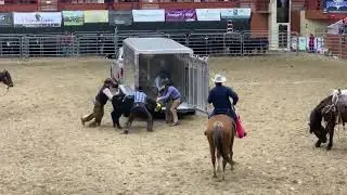 Rodeo at Equifest of KS 2022!