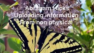 Abraham Hicks. Uploading the intelligence from the non physical 😇