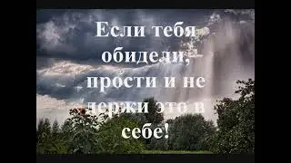 Ищешь понимания и заботы?