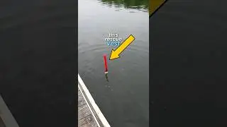 This Device Saves Your Phone From Water