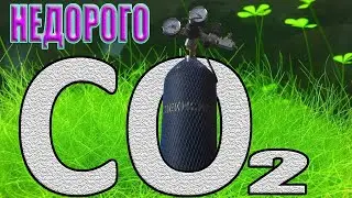 Система СО2 от Пневмопорт