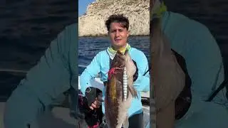 PLAKA GIRİDASI