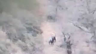 Дагестан безуари ,тури ,Цунта .