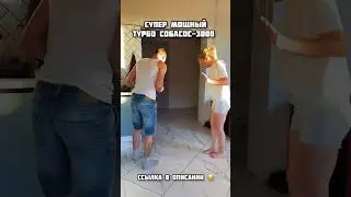У кого уже есть собасос?😂 #ванялена #приколы #юмор #смешноевидео