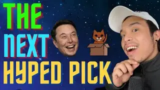 DINGER Token! Named After Elon Musk Cat! Utility Meme Coin ECOSYSTEM!