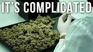 Is Thailand Making Cannabis Illegal Again?
