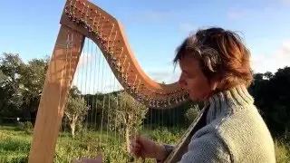 Interlude Nature à la harpe 