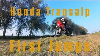 Transalps can fly