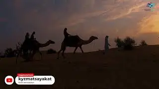 Умрага эмне үчүн баруу керек? (4-бөлүм)