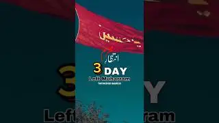 3 day Left Muharam🥺❤️‍🩹🏴 #foryou #foryoupage #yahussain #karbala #muhrram_ul_harram #viralvideo #noh