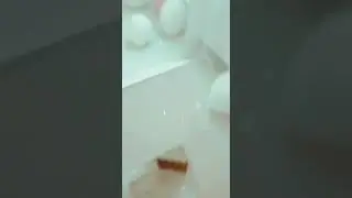 Видео от покупателя Коттедж