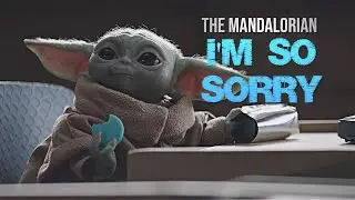 The Mandalorian S2 | I'm So Sorry