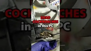 PC INFESTED with COCKROACHES 🪳😱 