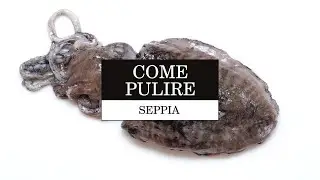 Come pulire la seppia | Le Tecniche | La Cucina Italiana