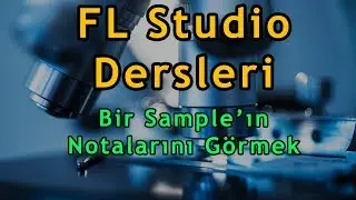 FL Studio Dersleri Mikro Eğitimler: Bir Sample’ın Notalarını Görmek