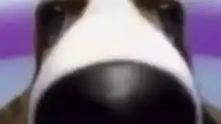 Shitpost Status