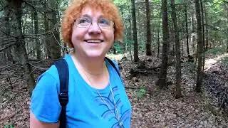 ТаК БЫВАЕТ?..Ловцы ГРИБОВ, подарки ЛЕСА!...В поисках СЪЕДОБНЫХ СОКРОВИЩ!