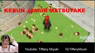 FARMING JAMUR MATSUTAKE GENSHIN IMPACT
