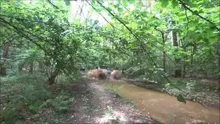 Покатушка 17.07.2022