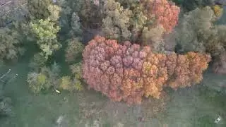 dji mavic air 2 , drone buenos aires campo argentino