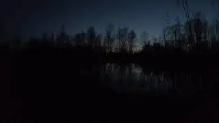 Природа 4k, птицы, река, вечер!