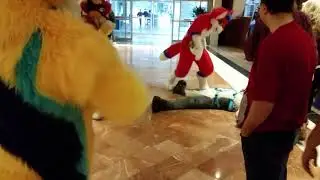 Wolf meets floor for CPR and Belly rubs
