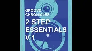 Groove Chronicles - The Way You