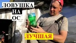 #пчеловодство