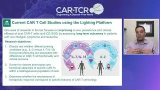 Characterizing T Cell Functionality on the Berkeley Lights Lightning Platform